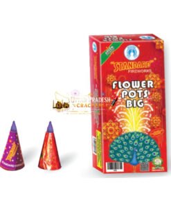Flower Pots Big