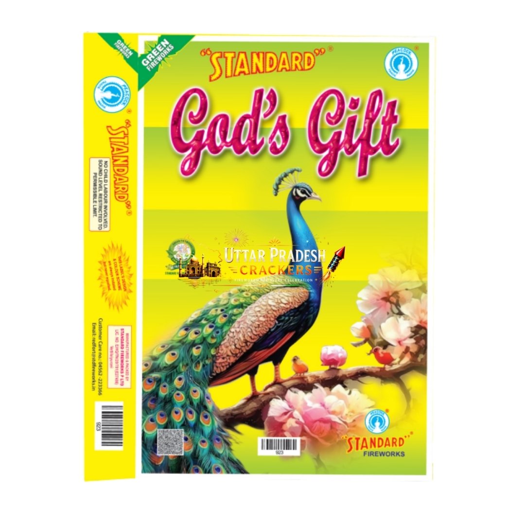 God's Gift