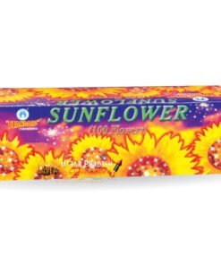 Sun Flower